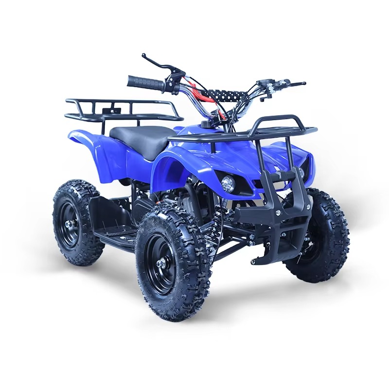 Kids Outdoor Ride On - 49cc Mini ATV Kids Quad Bike