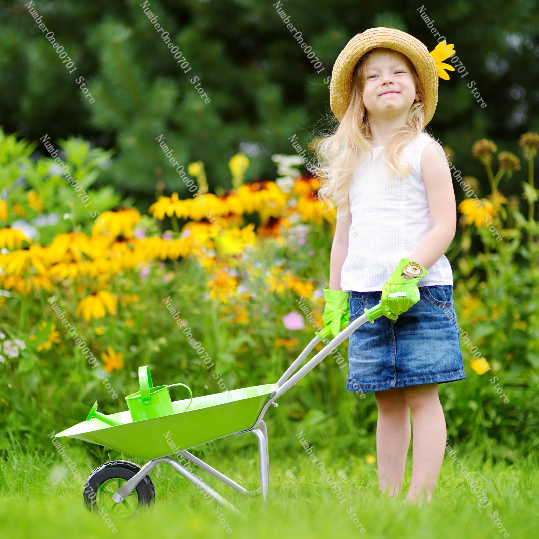 Kids Outdoor Wheelbarrow, Gree - Kids Outdoor Activities 评论和价格