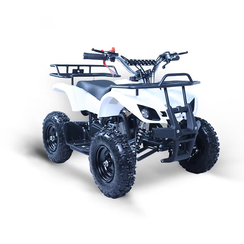 49cc Mini ATV Kids Quad Bike 2 - Kids Outdoor Ride On 评论和价格