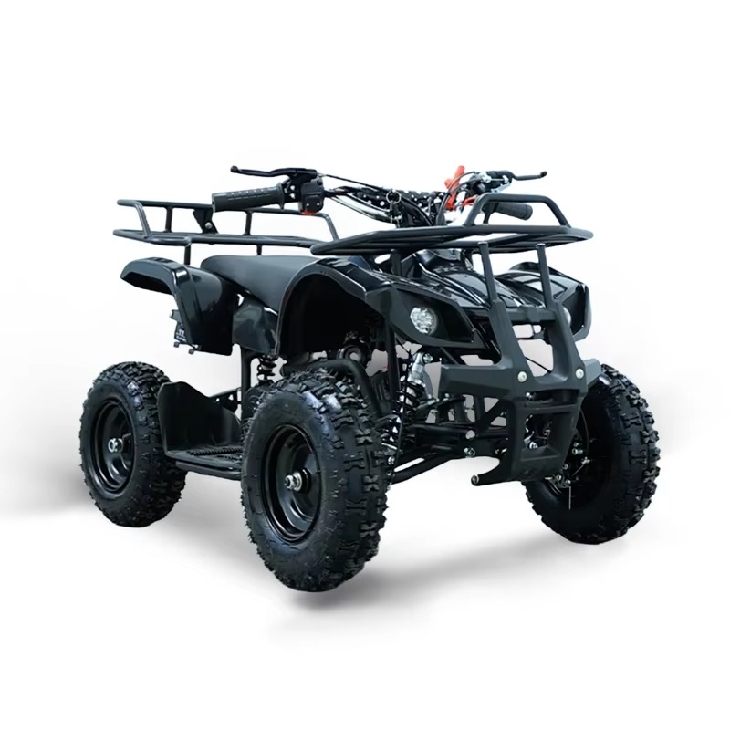 49cc Mini ATV Kids Quad Bike 2 - Kids Outdoor Ride On 评论和价格