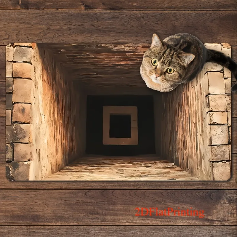 2D Flat Mystery Staircase Door - Stepping Stone Foam 评论和价格